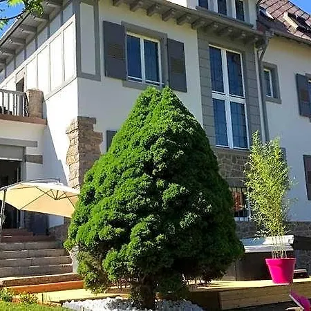 D'hotes Les Ecrins 3* Orbey